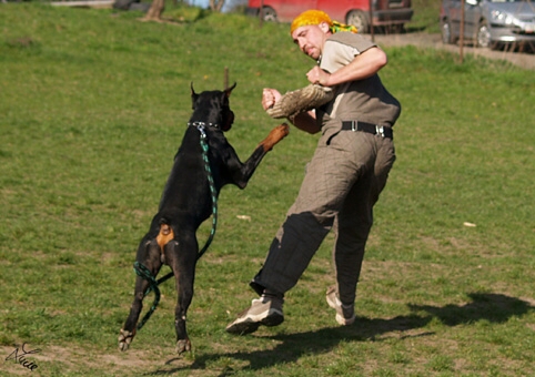 Santa Julf Efrat - training 4. 4. 2007